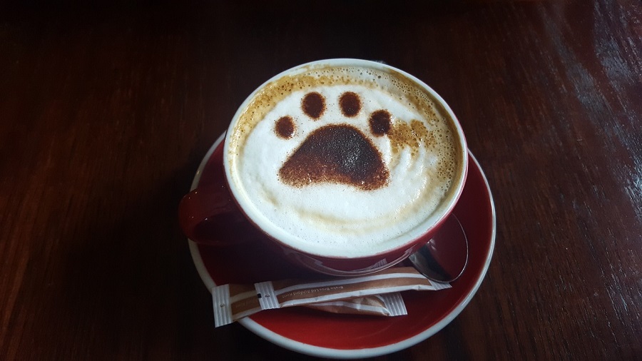 Coffee with paw print